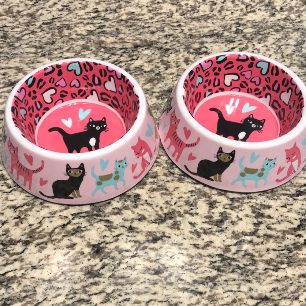 Cat Food Bowl Set